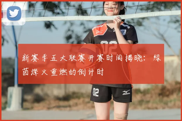 新赛季五大联赛开赛时间揭晓:绿茵烽火重燃的倒计时